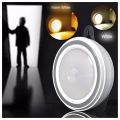 Motion Sensor LED Light